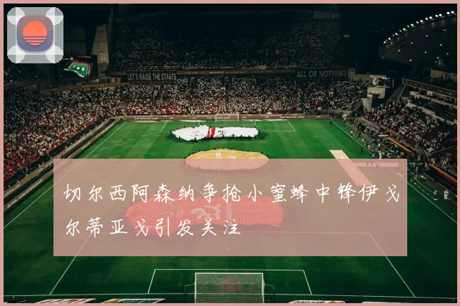 切尔西阿森纳争抢小蜜蜂中锋伊戈尔蒂亚戈引发关注